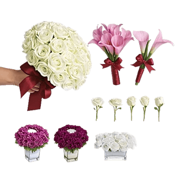 Elegant Calla Lilies