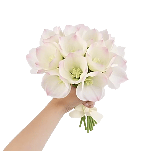 Ivory Blossom Radiance