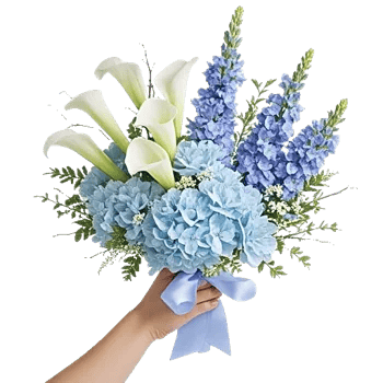 Elegant Calla Lilies