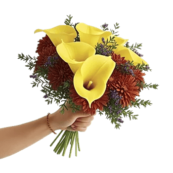 Elegant Calla Lilies