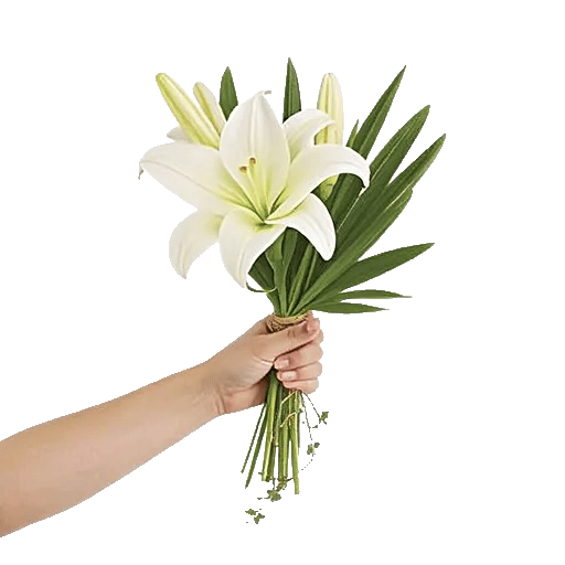 Elegant Calla Lilies