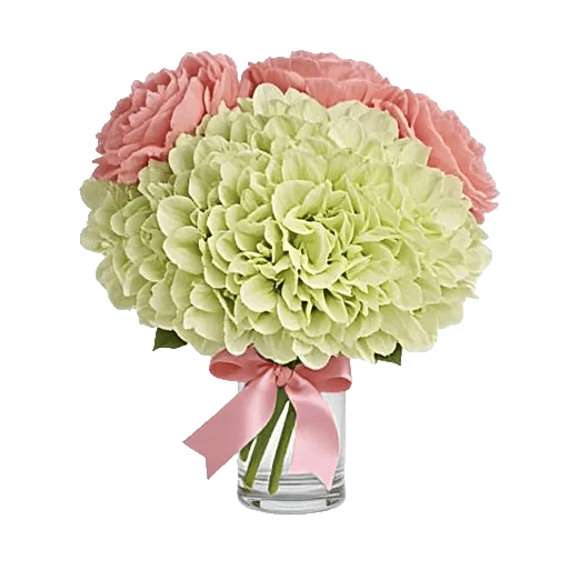 Ivory Blossom Radiance