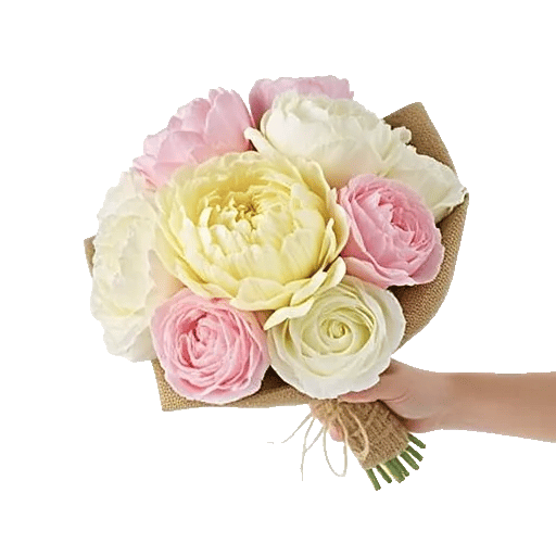 Peony Petal Harmony