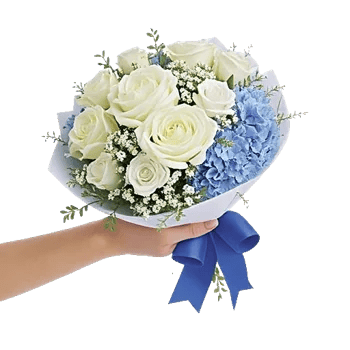 Serene Petal Harmony