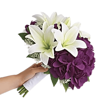 Ivory Garden Grace