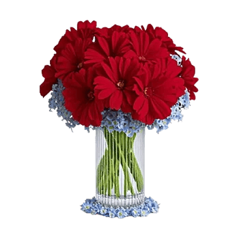 Petal Radiance Bliss