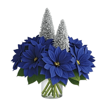 Petal Radiance Bliss