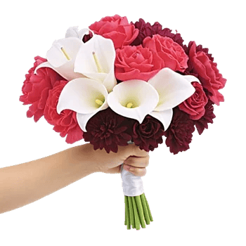 Elegant Calla Lilies