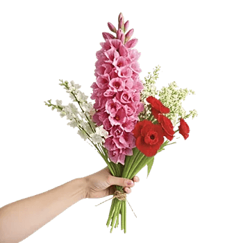 Graceful Lily Display