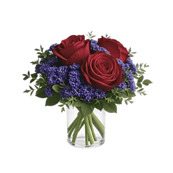 Crimson Rose Elegance