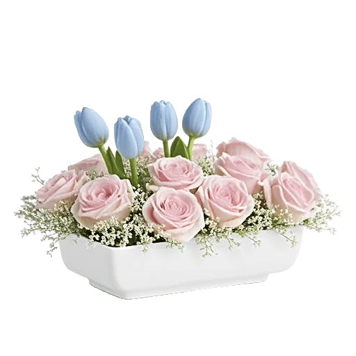 Blossom Petal Serenity