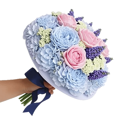 Serene Petal Harmony