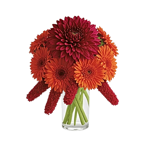 Crimson Blossom Harmony