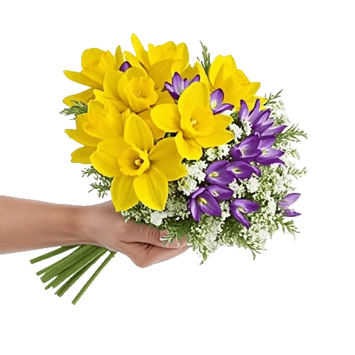 Blossom Harmony Display