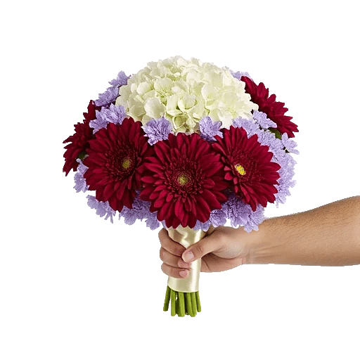 Crimson Blossom Harmony