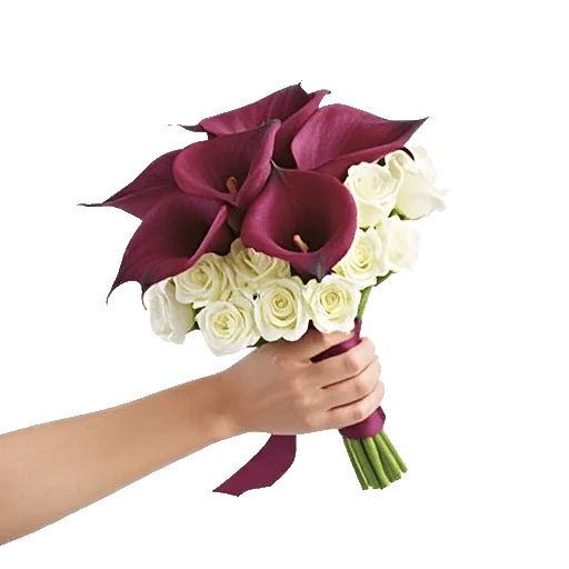 Elegant Calla Lilies