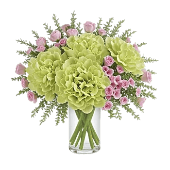 Ivory Blossom Radiance