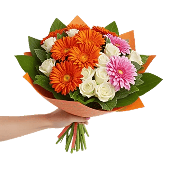 Petal Harmony Bliss