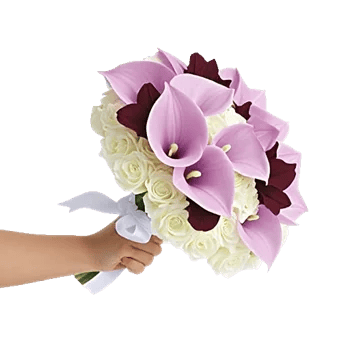 Elegant Calla Lilies