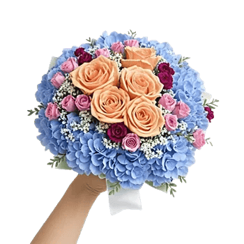 Serene Petal Harmony