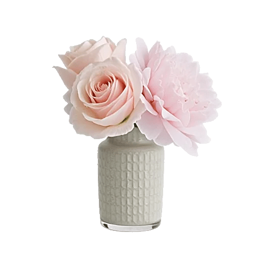 Ivory Blossom Radiance