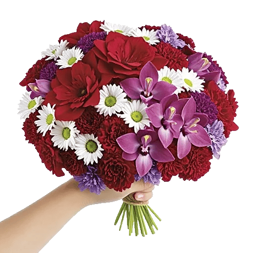 Crimson Blossom Harmony