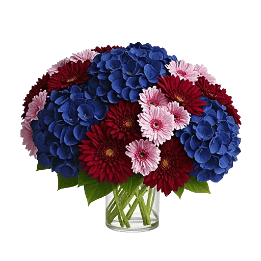 Ivory Blossom Radiance