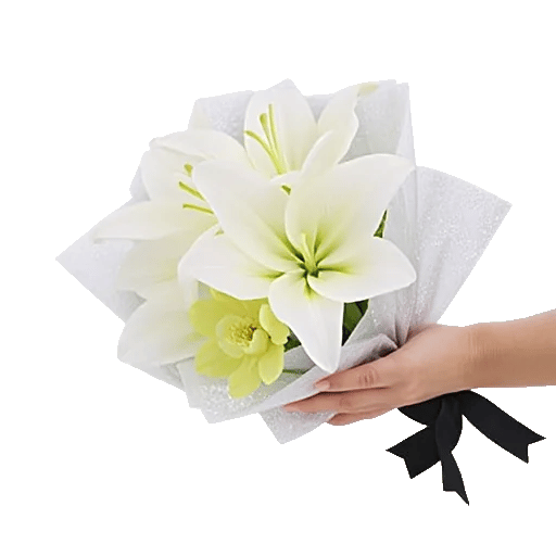 Minimalist White Orchids