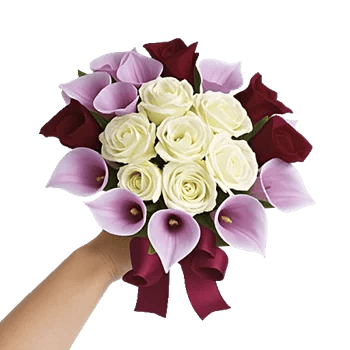 Elegant Calla Lilies