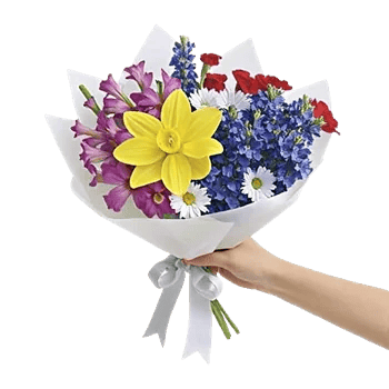 Blossom Harmony Display