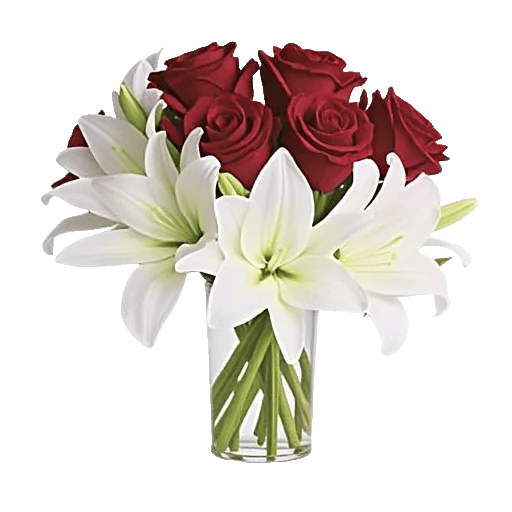 Crimson Rose Elegance