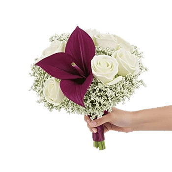 Elegant Calla Lilies