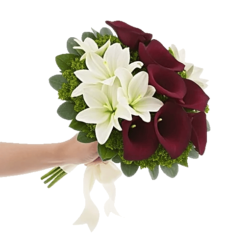 Elegant Calla Lilies