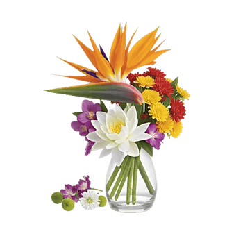 Petal Radiance Bliss