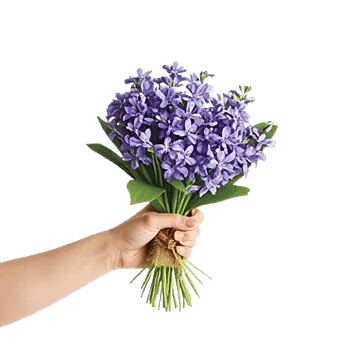 Delicate Petal Cascade