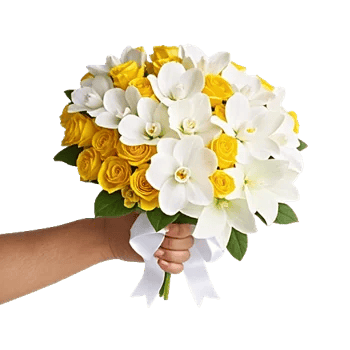Modern White Orchids