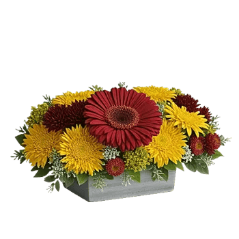 Blush Romantic Centerpiece