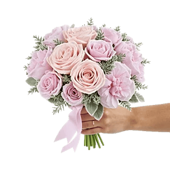 Pastel Pink Roses