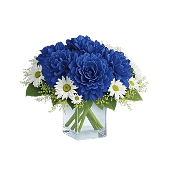 Elegant Blue Roses