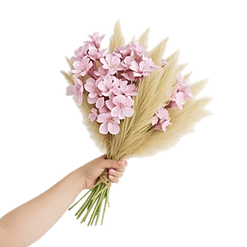 Plum Blossom Radiance