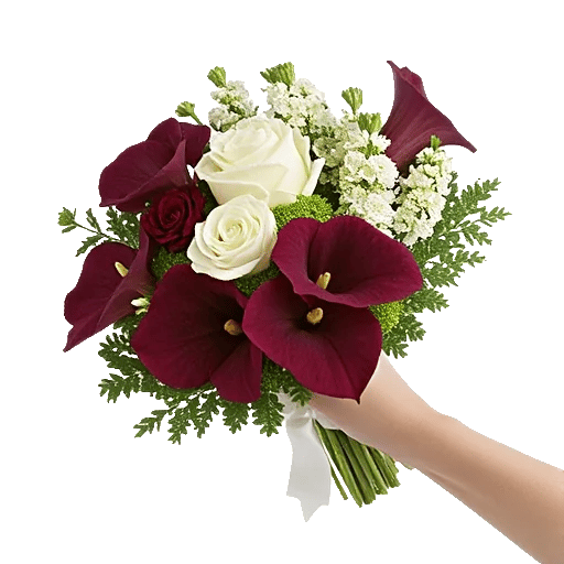 Elegant Calla Lilies
