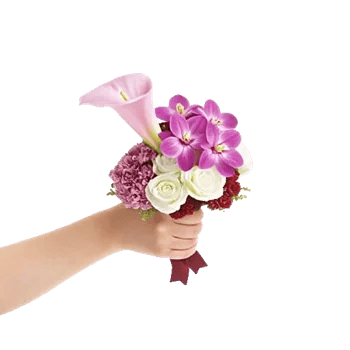 Elegant Calla Lilies