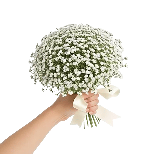 Blossom Radiant Whisper