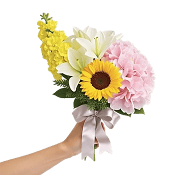 Blossom Harmony Display