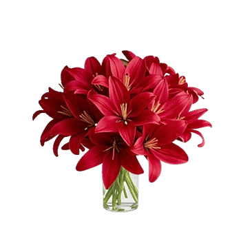 Crimson Lily Glow