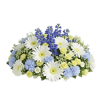Delicate Petal Cascade