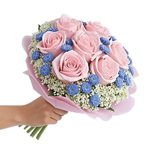 Pink Pastel Roses
