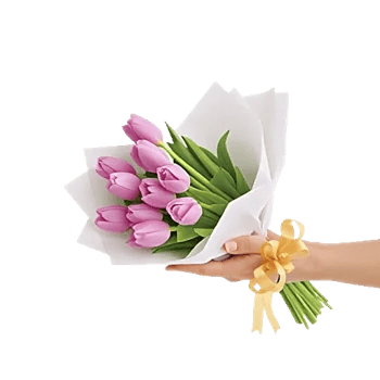 Velvet Tulip Display