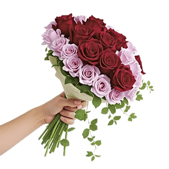 Crimson Rose Elegance