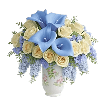 Elegant Calla Lilies